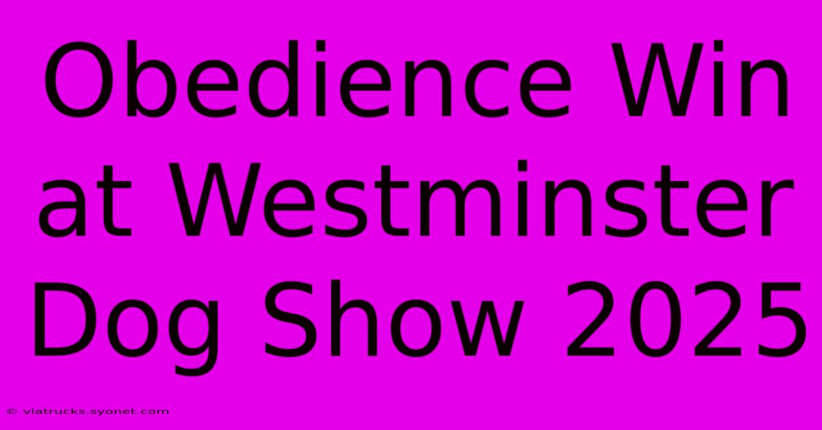 Obedience Win At Westminster Dog Show 2025