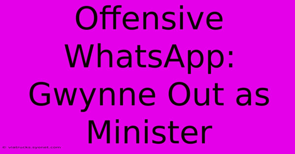 Offensive WhatsApp: Gwynne Out As Minister