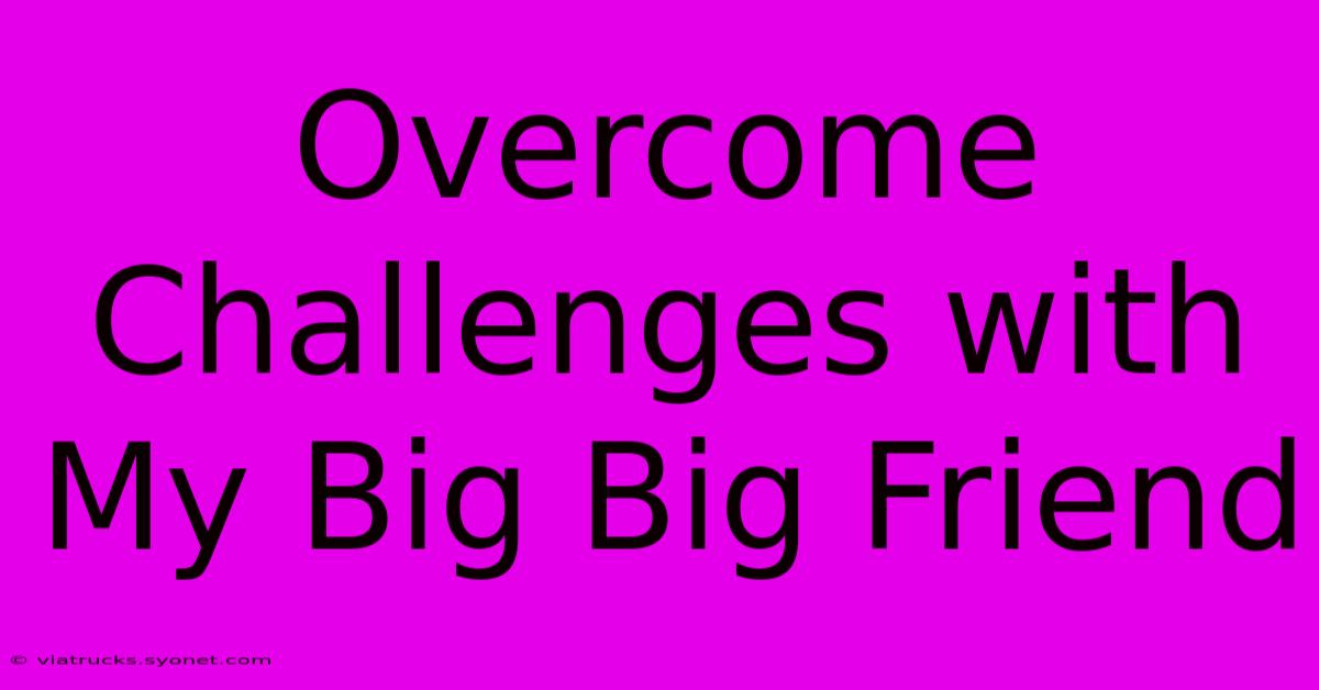 Overcome Challenges With My Big Big Friend