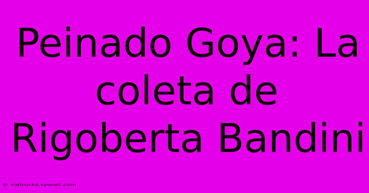 Peinado Goya: La Coleta De Rigoberta Bandini