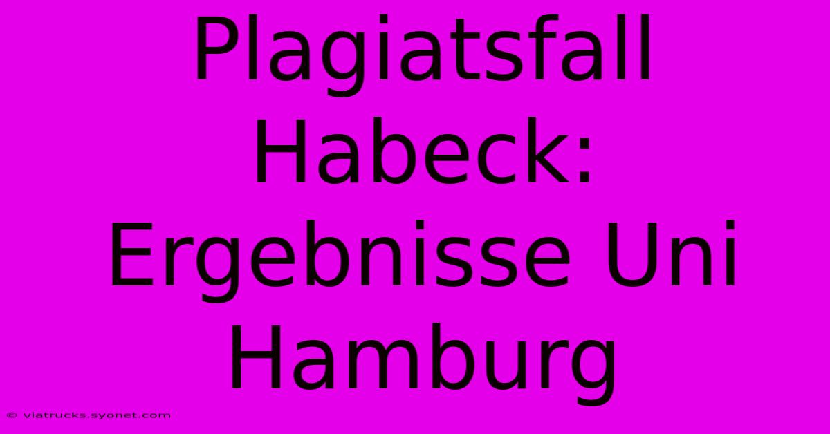 Plagiatsfall Habeck: Ergebnisse Uni Hamburg