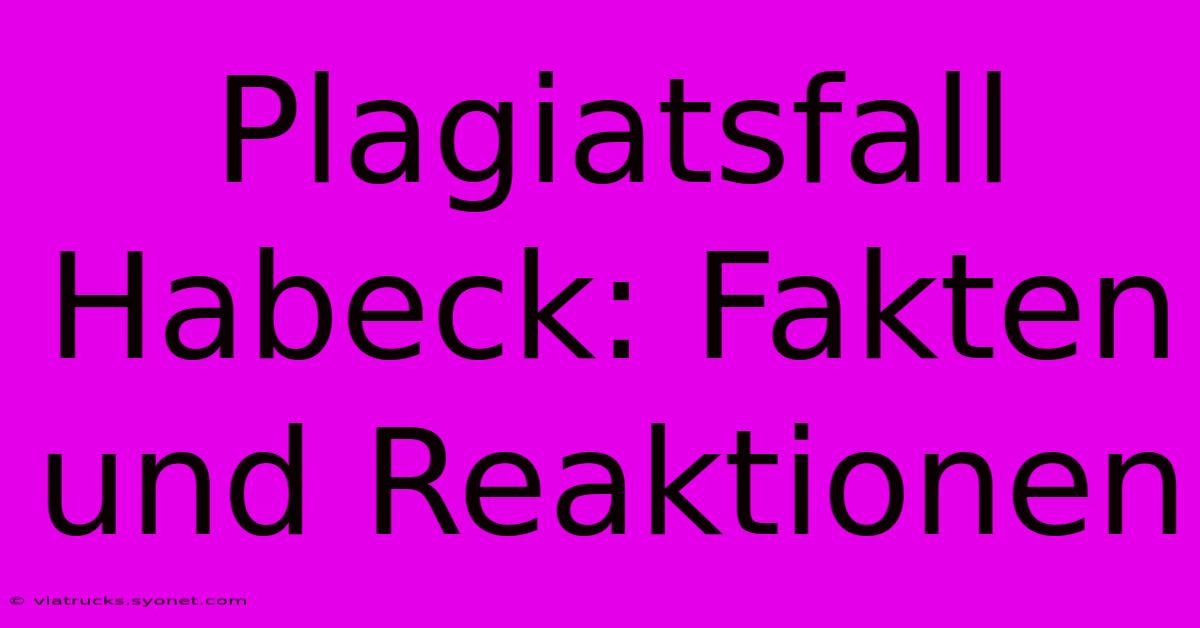 Plagiatsfall Habeck: Fakten Und Reaktionen