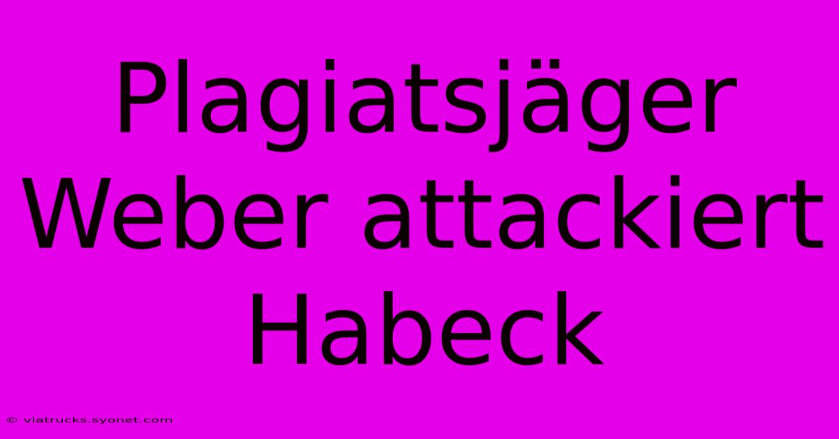 Plagiatsjäger Weber Attackiert Habeck