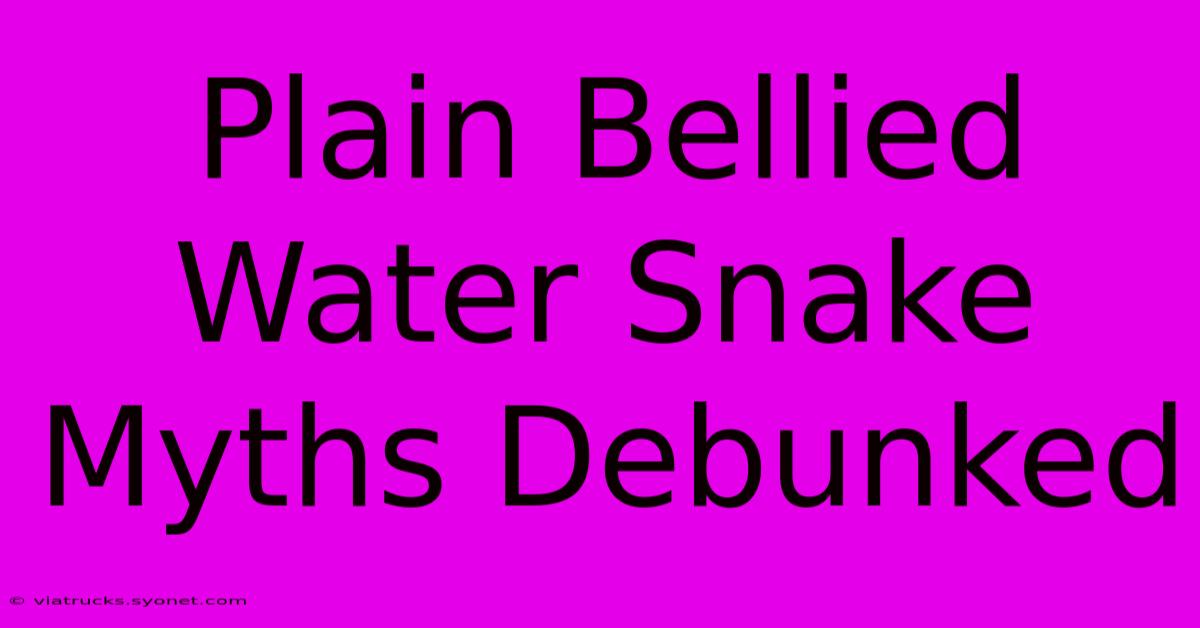 Plain Bellied Water Snake Myths Debunked