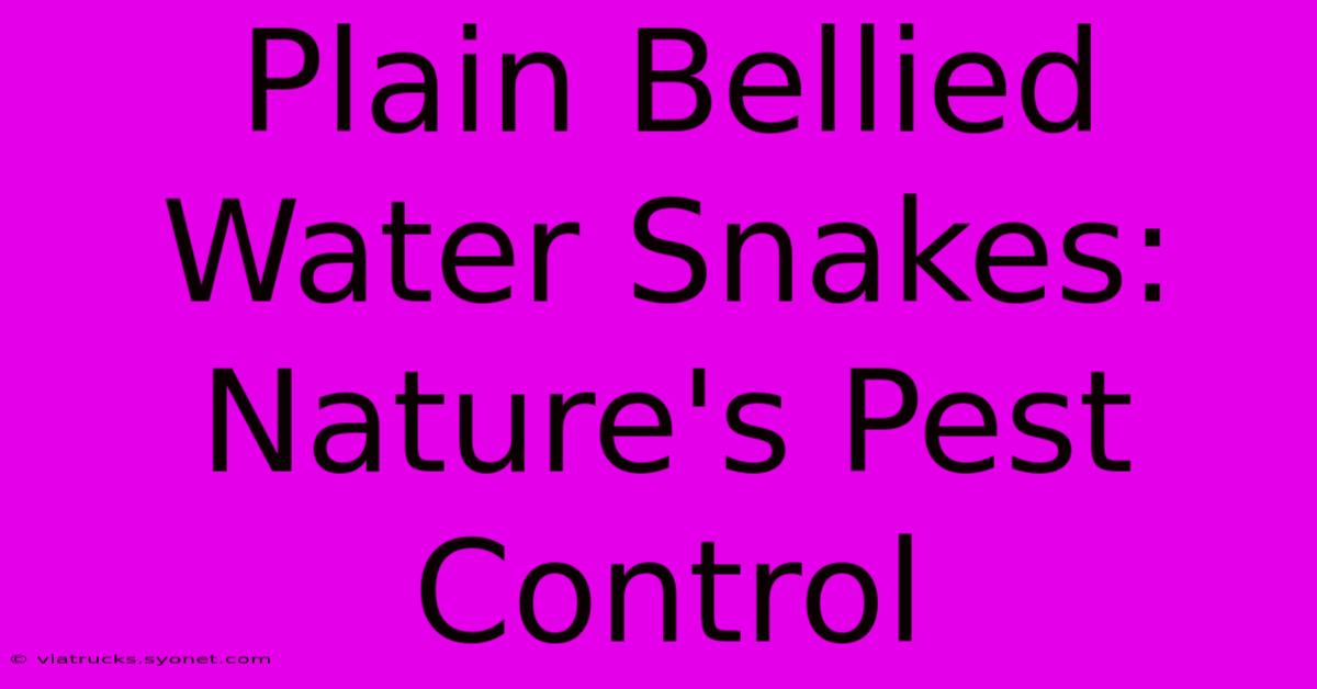 Plain Bellied Water Snakes: Nature's Pest Control