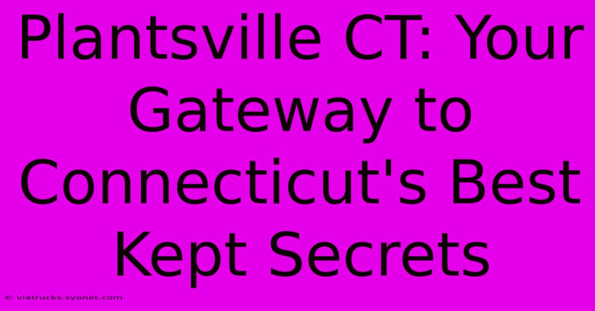 Plantsville CT: Your Gateway To Connecticut's Best Kept Secrets