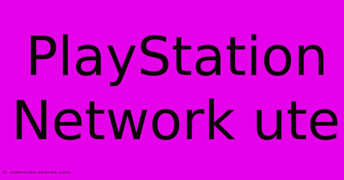 PlayStation Network Ute