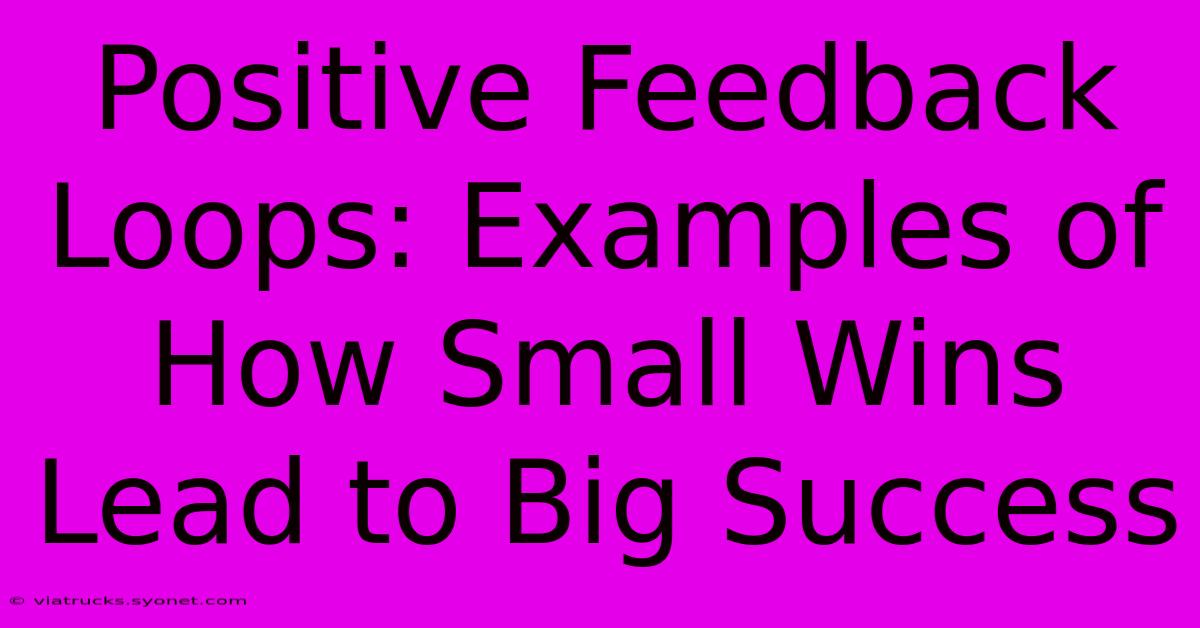 Positive Feedback Loops: Examples Of How Small Wins Lead To Big Success