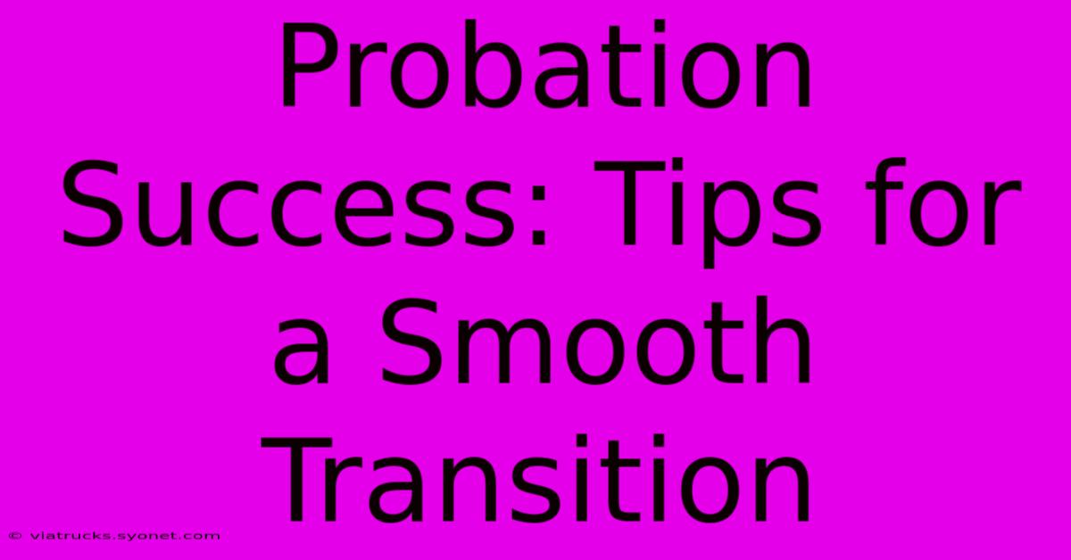 Probation Success: Tips For A Smooth Transition