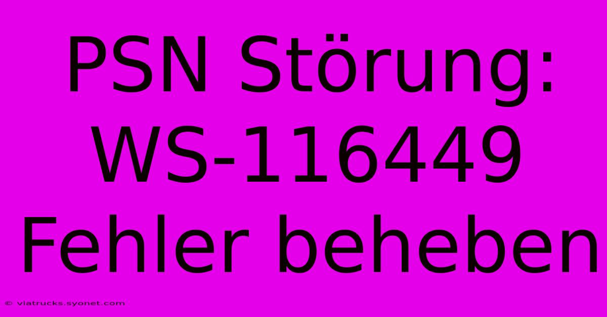 PSN Störung: WS-116449 Fehler Beheben