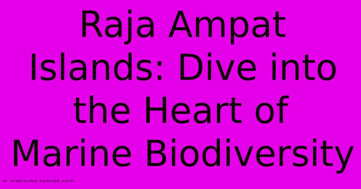 Raja Ampat Islands: Dive Into The Heart Of Marine Biodiversity