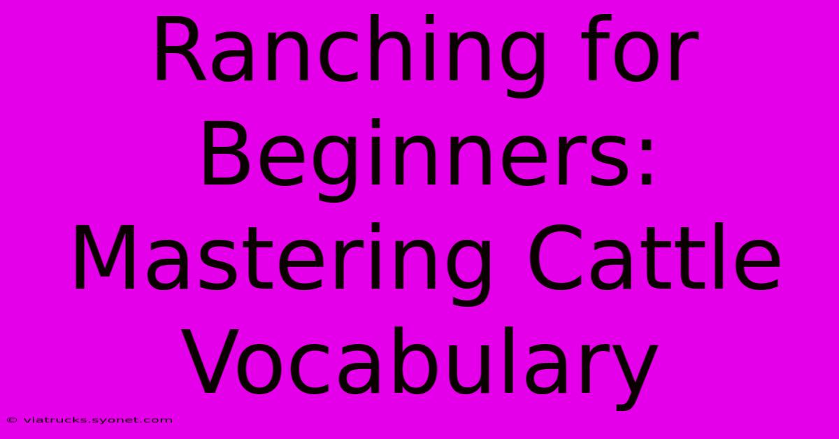 Ranching For Beginners: Mastering Cattle Vocabulary