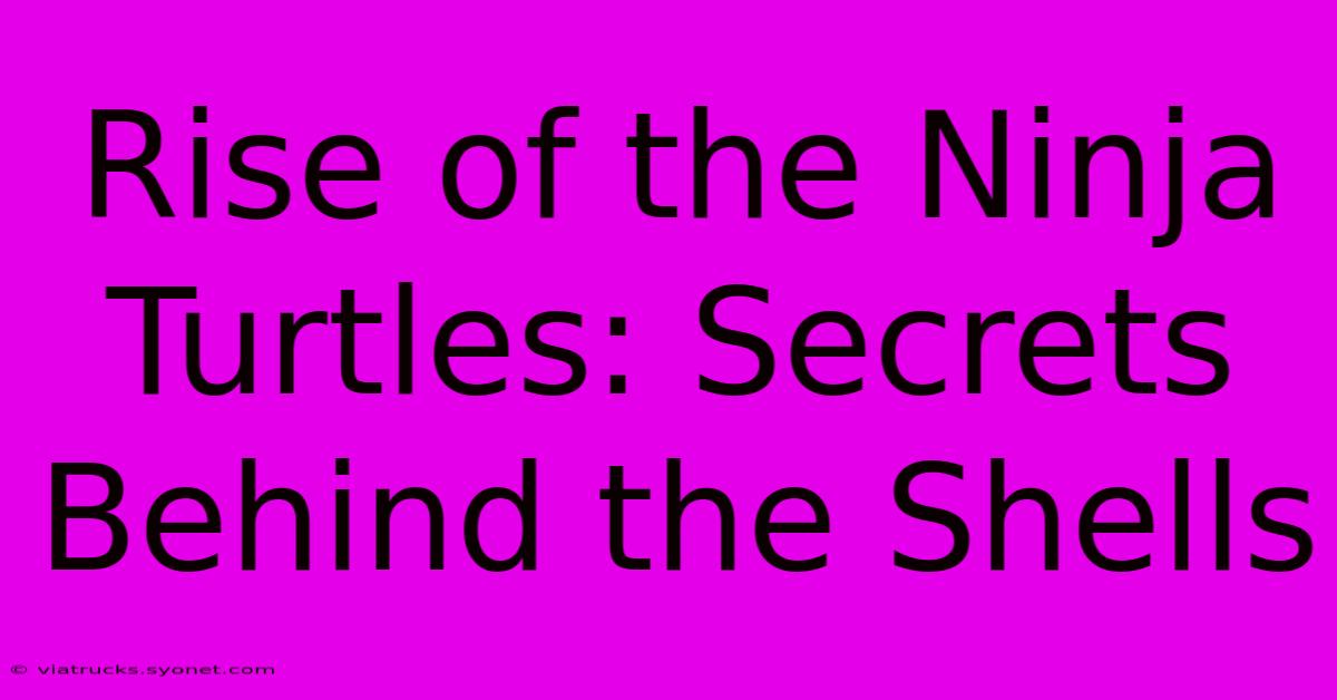 Rise Of The Ninja Turtles: Secrets Behind The Shells