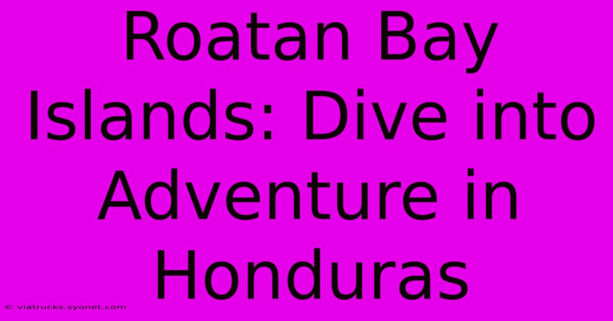 Roatan Bay Islands: Dive Into Adventure In Honduras