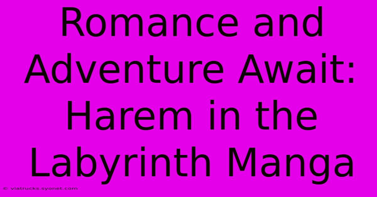 Romance And Adventure Await: Harem In The Labyrinth Manga