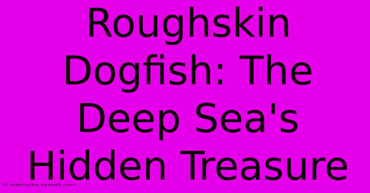 Roughskin Dogfish: The Deep Sea's Hidden Treasure