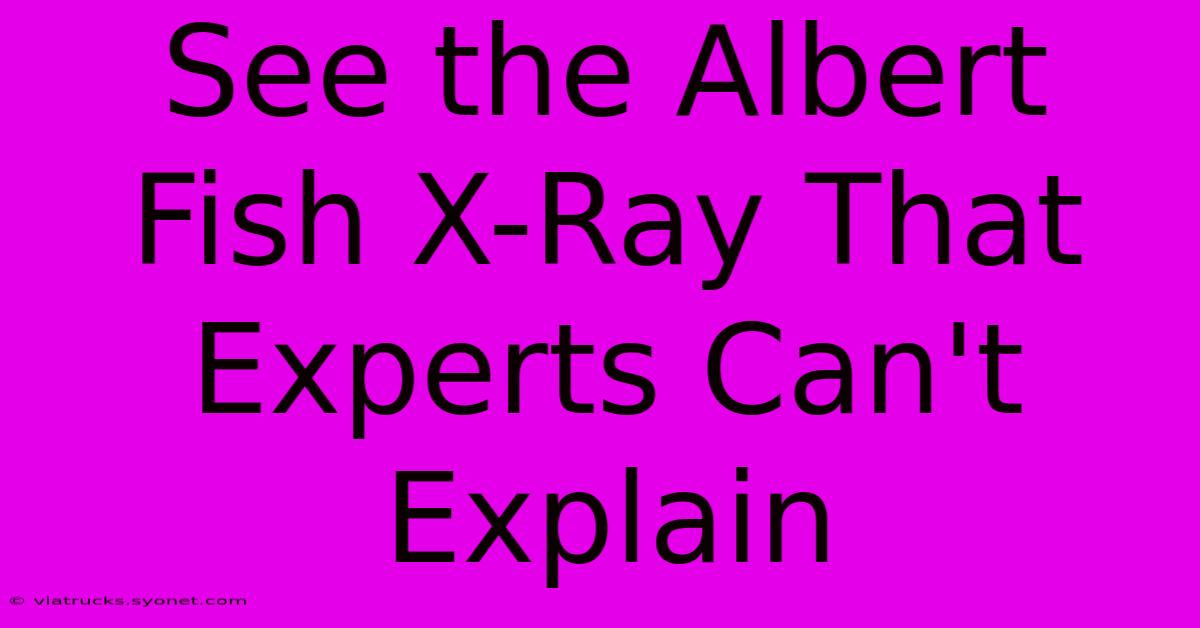 See The Albert Fish X-Ray That Experts Can't Explain