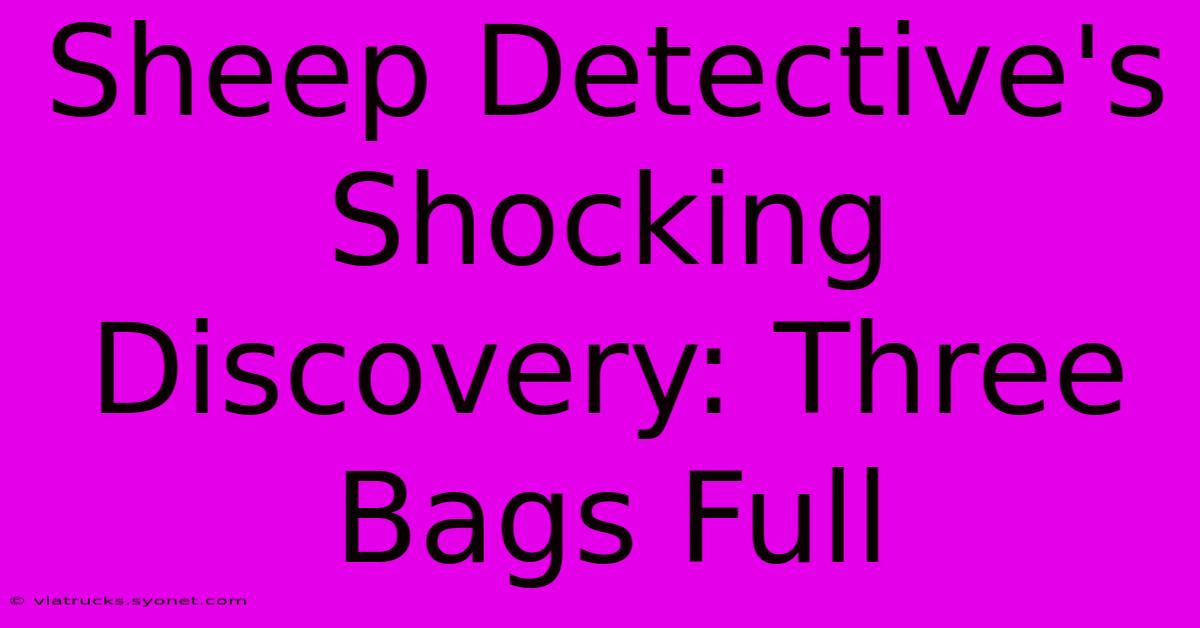 Sheep Detective's Shocking Discovery: Three Bags Full