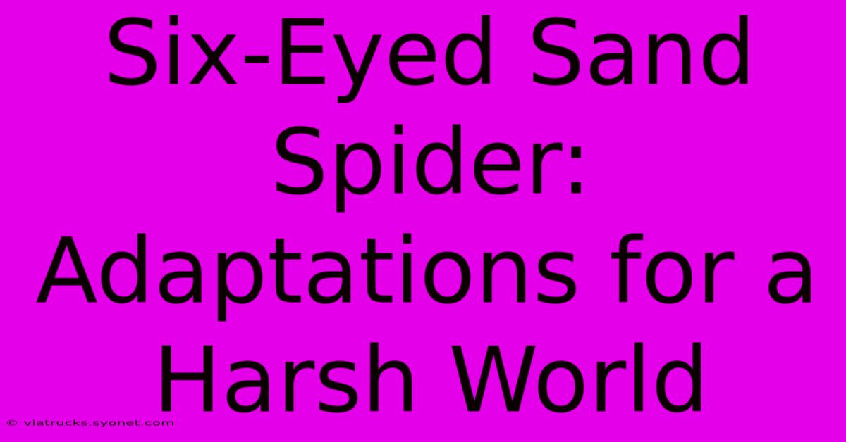 Six-Eyed Sand Spider:  Adaptations For A Harsh World