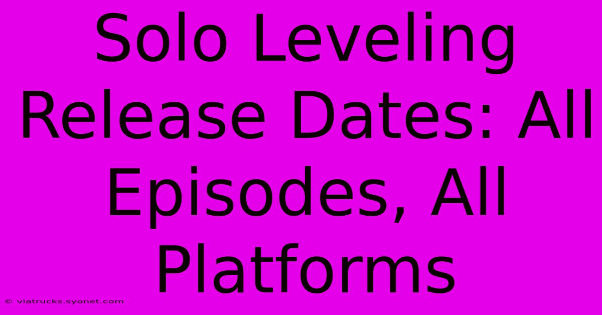 Solo Leveling Release Dates: All Episodes, All Platforms