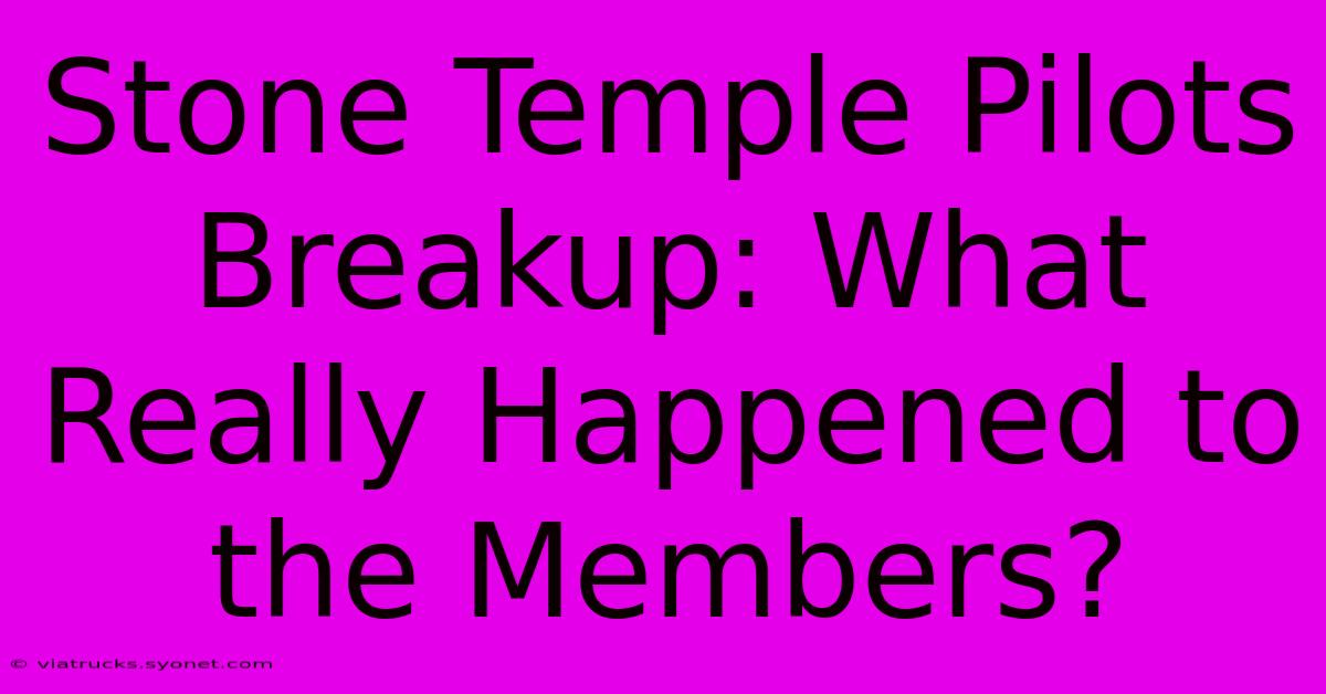 Stone Temple Pilots Breakup: What Really Happened To The Members?