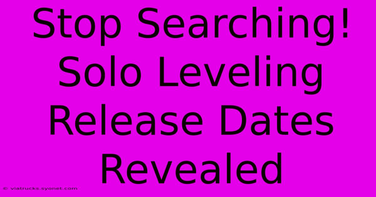 Stop Searching! Solo Leveling Release Dates Revealed