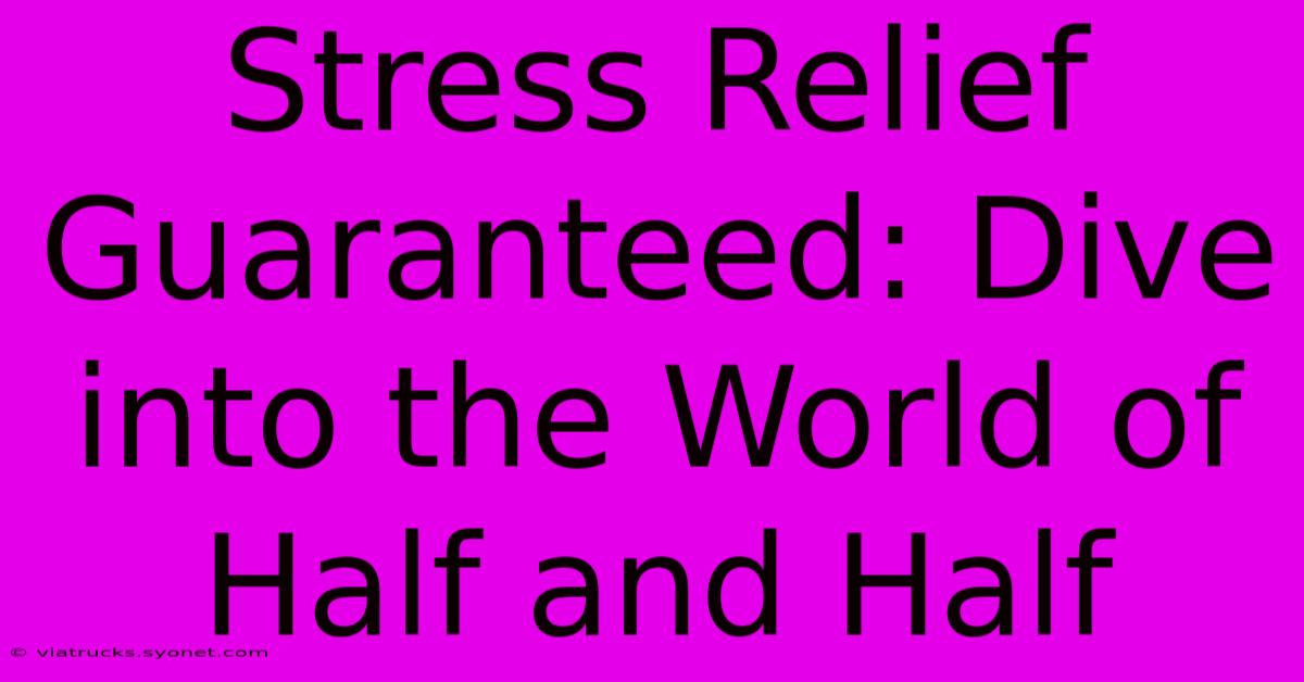 Stress Relief Guaranteed: Dive Into The World Of Half And Half