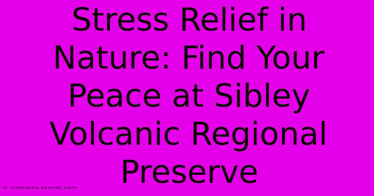 Stress Relief In Nature: Find Your Peace At Sibley Volcanic Regional Preserve