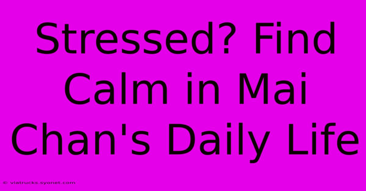 Stressed? Find Calm In Mai Chan's Daily Life