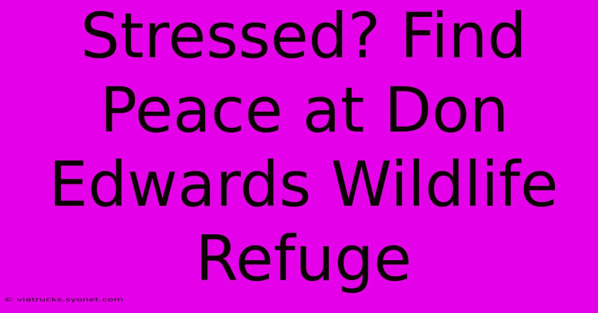 Stressed? Find Peace At Don Edwards Wildlife Refuge