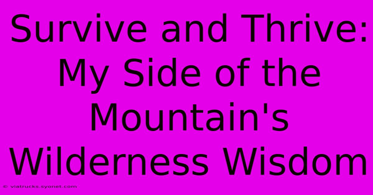 Survive And Thrive: My Side Of The Mountain's Wilderness Wisdom