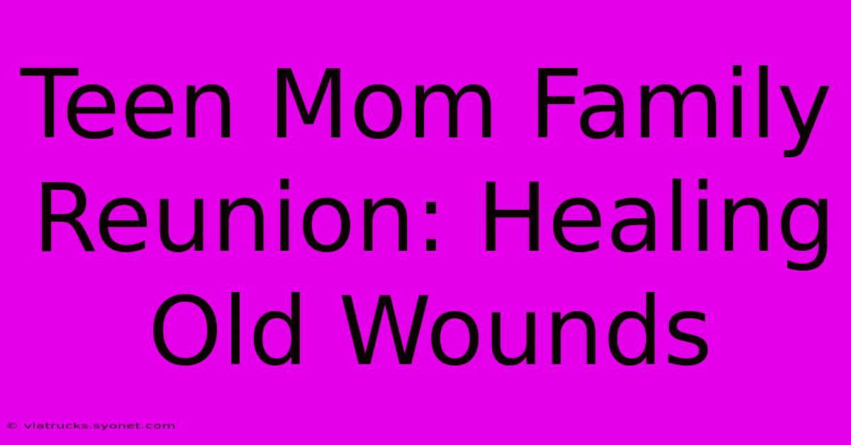 Teen Mom Family Reunion: Healing Old Wounds