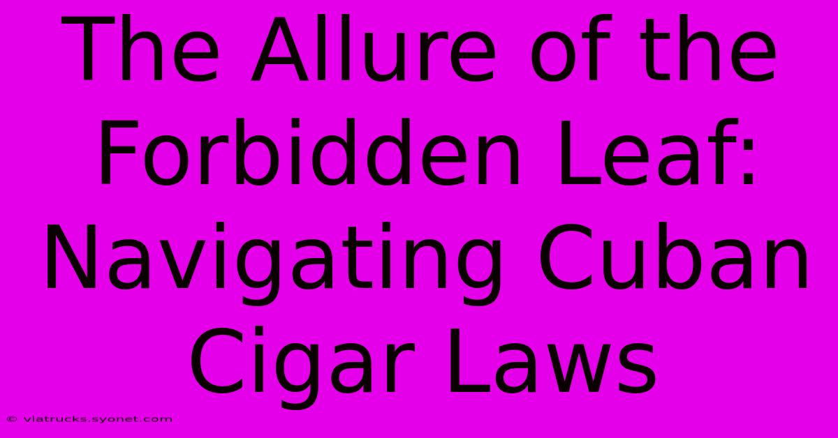 The Allure Of The Forbidden Leaf: Navigating Cuban Cigar Laws