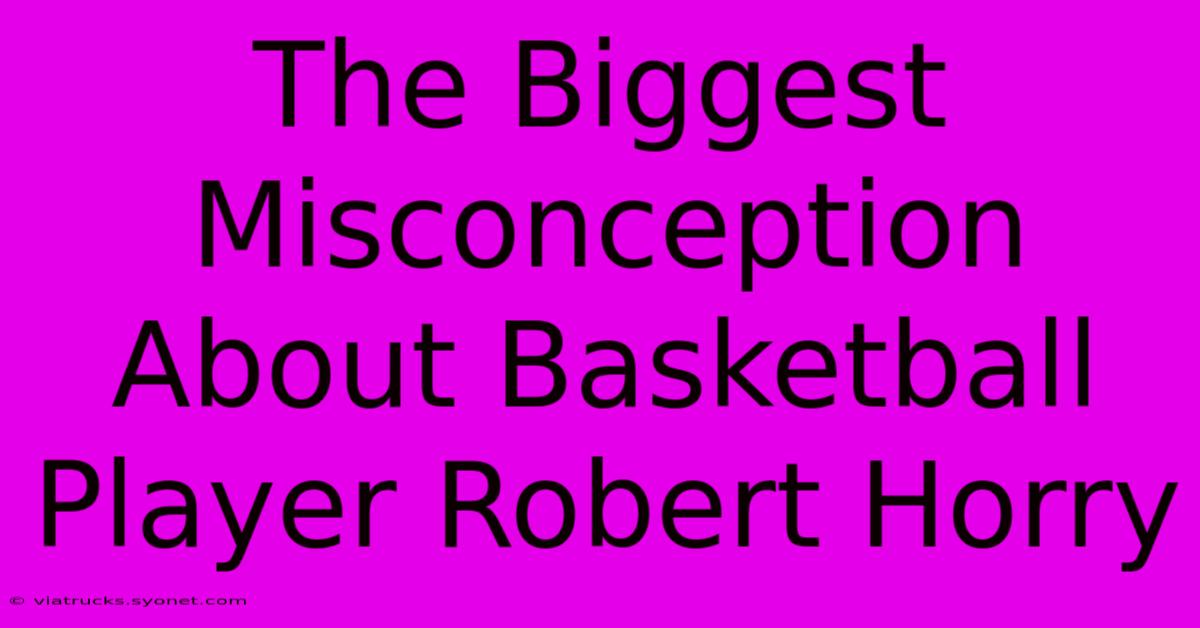 The Biggest Misconception About Basketball Player Robert Horry