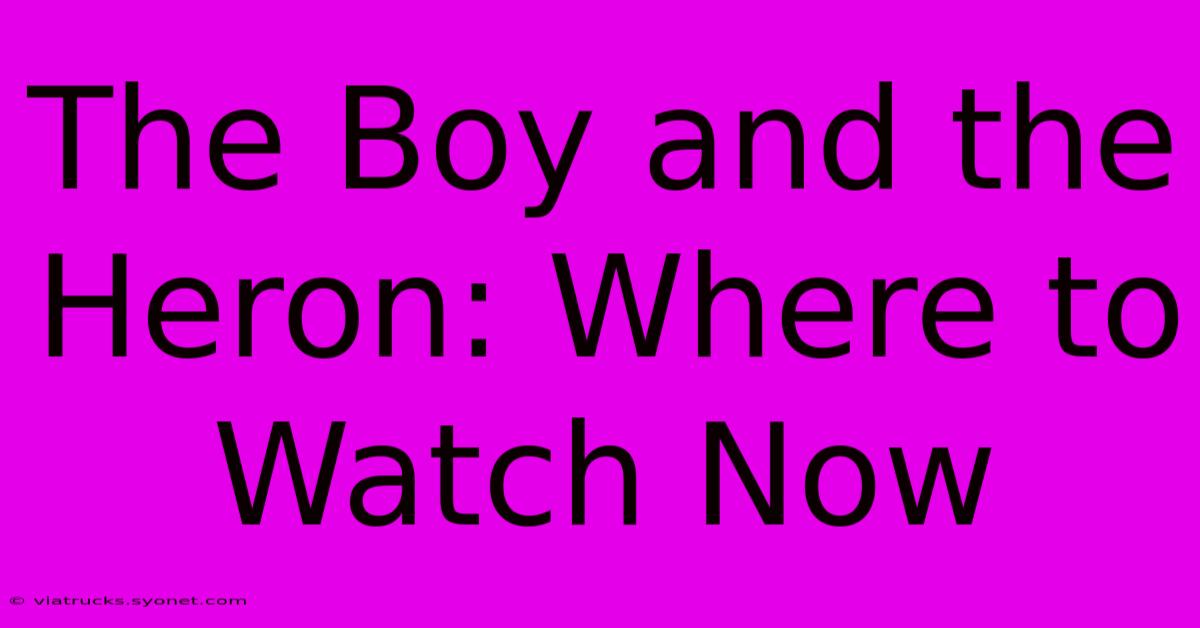 The Boy And The Heron: Where To Watch Now