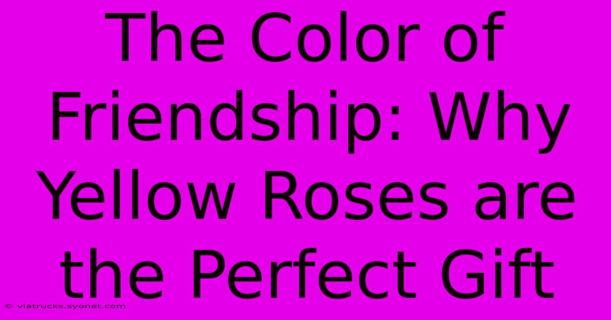 The Color Of Friendship: Why Yellow Roses Are The Perfect Gift