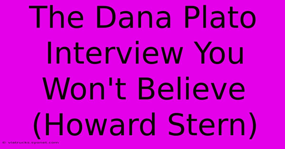 The Dana Plato Interview You Won't Believe (Howard Stern)