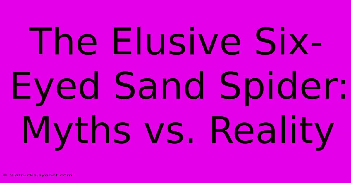 The Elusive Six-Eyed Sand Spider: Myths Vs. Reality