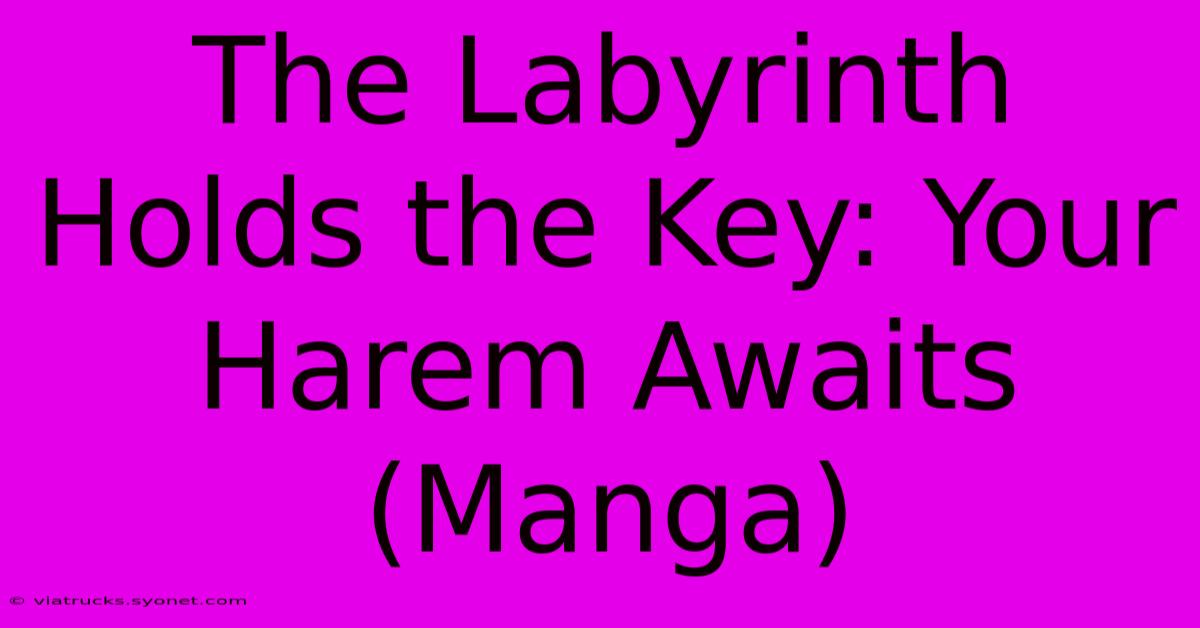 The Labyrinth Holds The Key: Your Harem Awaits (Manga)