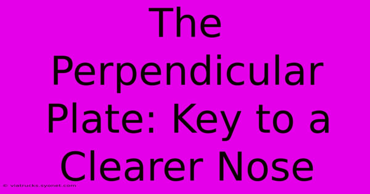 The Perpendicular Plate: Key To A Clearer Nose