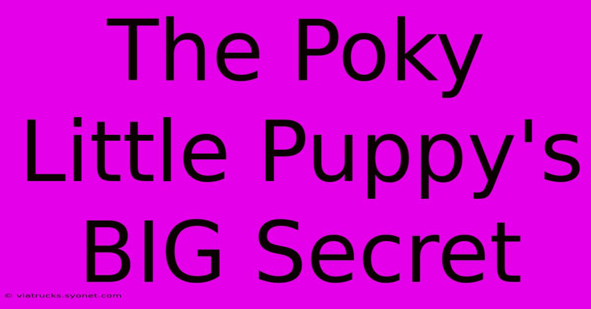 The Poky Little Puppy's BIG Secret