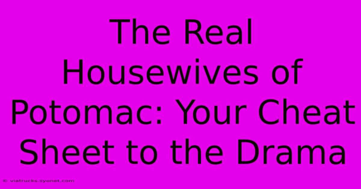 The Real Housewives Of Potomac: Your Cheat Sheet To The Drama