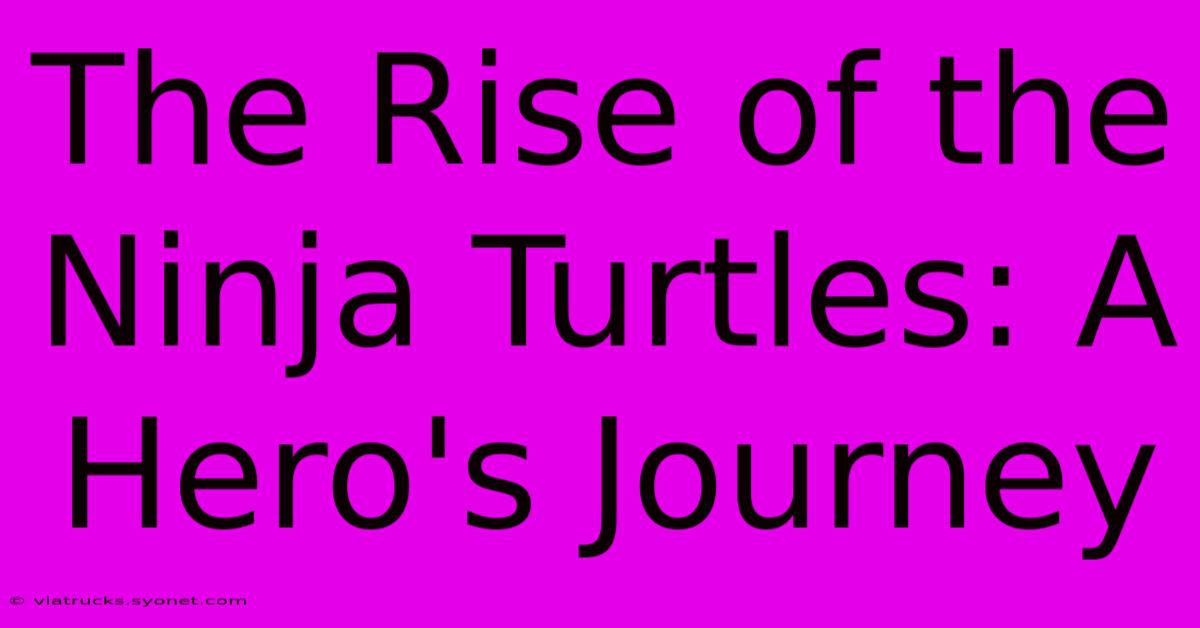 The Rise Of The Ninja Turtles: A Hero's Journey