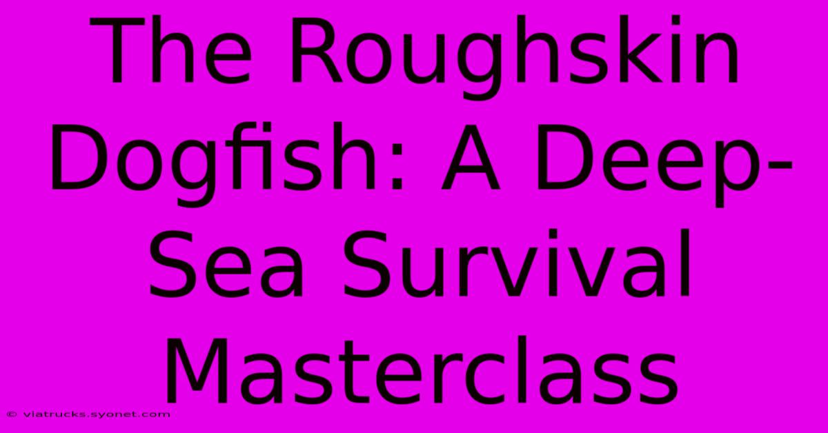 The Roughskin Dogfish: A Deep-Sea Survival Masterclass