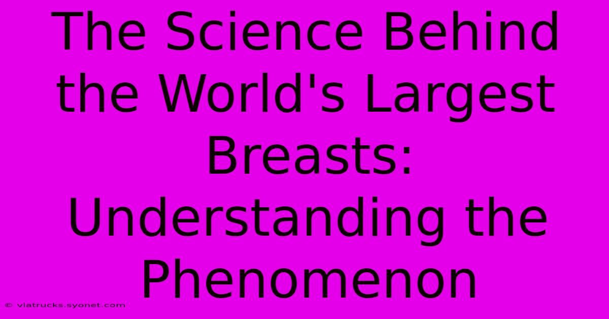 The Science Behind The World's Largest Breasts: Understanding The Phenomenon