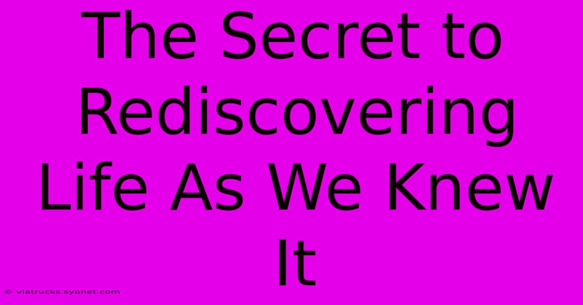 The Secret To Rediscovering Life As We Knew It