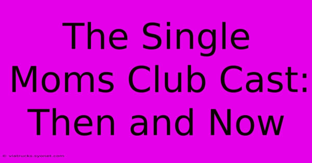 The Single Moms Club Cast: Then And Now