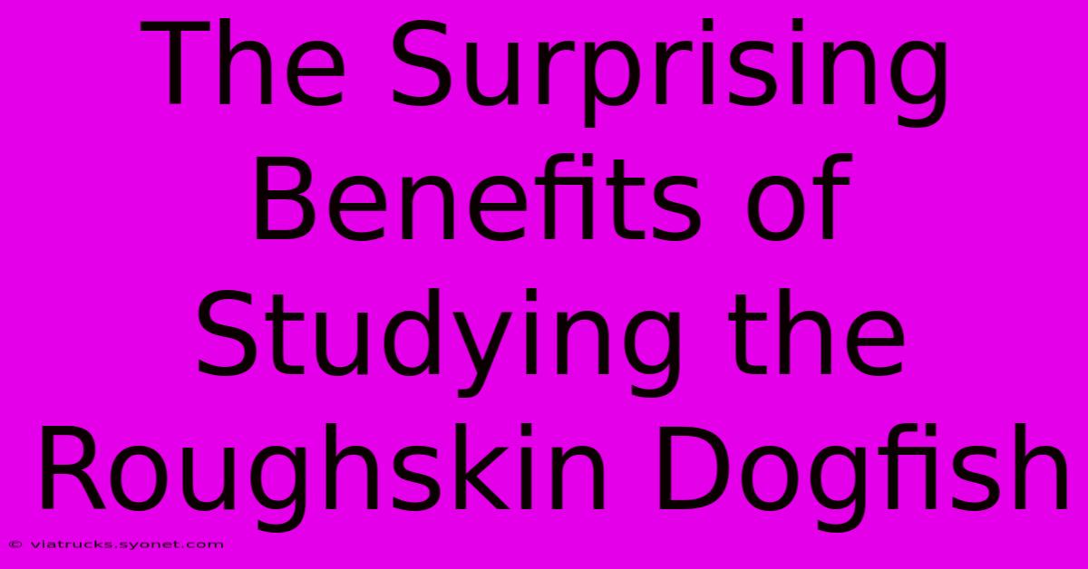 The Surprising Benefits Of Studying The Roughskin Dogfish