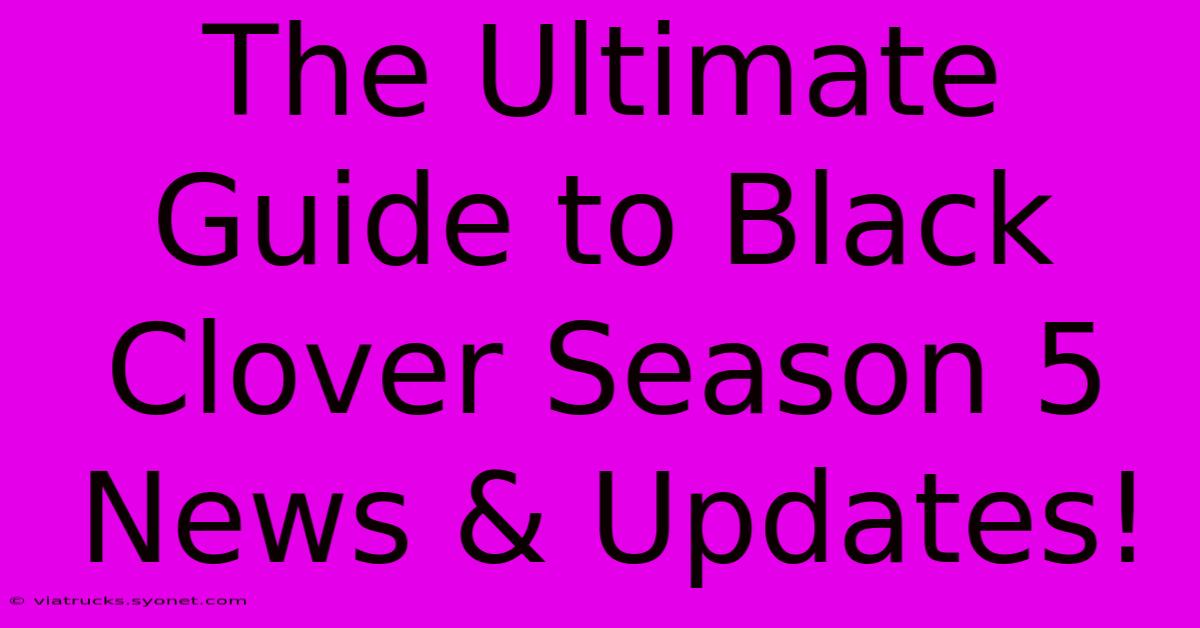 The Ultimate Guide To Black Clover Season 5 News & Updates!