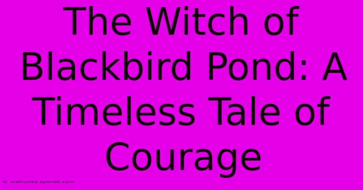 The Witch Of Blackbird Pond: A Timeless Tale Of Courage